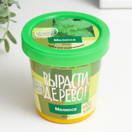 Gift set for growing plants "grow, tree! Melissa"