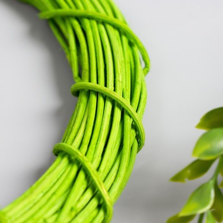 Ring Roadan for manufacturing a green catcher "Green" d = 25 cm-1