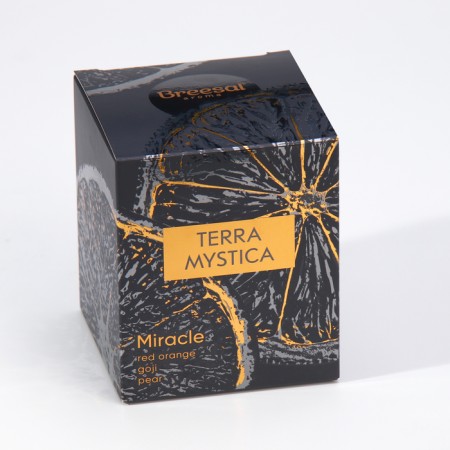Aromatic candle "Breesal, Terra Mystica", orange, pear, berries-6