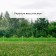 Decorative fence, 30 × 300 cm, 5 sections, plastic, salad, Greengo