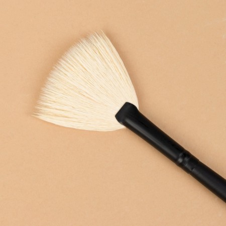 Premium Brush makeup, fan, in a case, 20 cm, black color-3