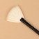 Premium Brush makeup, fan, in a case, 20 cm, black color