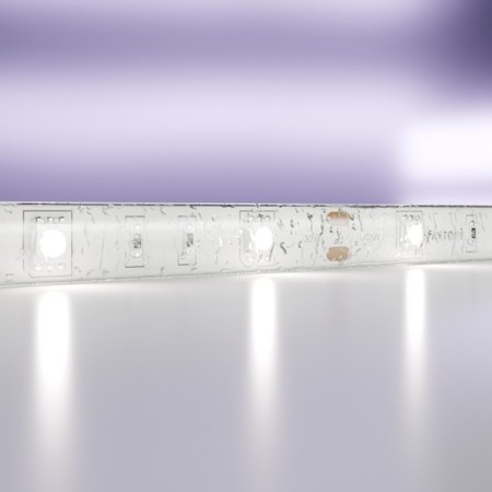 Maytoni LED strip, 12V, IP65, 5050, 7.2W/m, 6000k, 5 m, monochrome glow