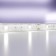 Maytoni LED strip, 12V, IP65, 5050, 7.2W/m, 6000k, 5 m, monochrome glow