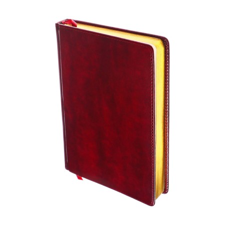 Dated diary of 2025, A5, 168 sheets in the ruler, leatherette "Nebraska", gold cut, burgundy-2
