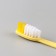 Dental set: toothbrush 16 cm + toothpaste 3 g
