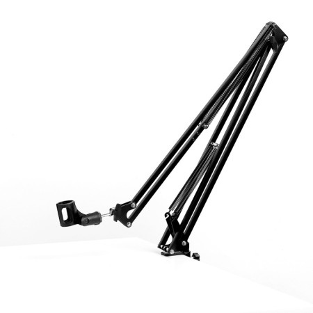 Microphone Pantotograph Music Life, microphone diameter 2.5 cm, length 100 cm-2