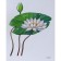 Flowers in pictures. A visual aid for teachers, speech therapists, educators and parents