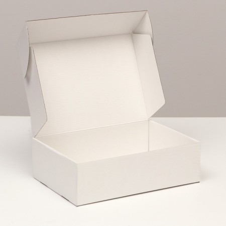 Self -charged box, white, 31 x 22 x 9.5 cm-2