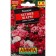 Flower seeds Godegia "Summer charm", a mixture of varieties, 0.05 g