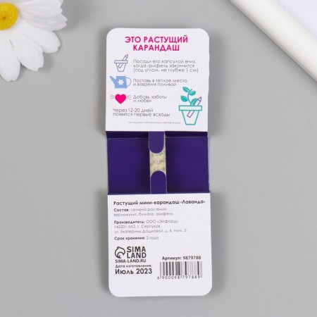 Growing gift pencils Mini to the Lavender's beloved mommy-1