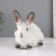 Figure "Rabbit No. 1 White with black tips" Height 14 cm, width 10 cm, length 18 cm.