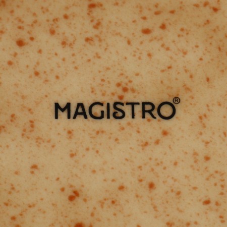 Serving porcelain magistro Stone, 24.5 × 11.5 × 2.5 cm-4