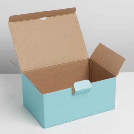 Gift folding box, packaging, Tiffany, 22 x 15 x 10 cm-7