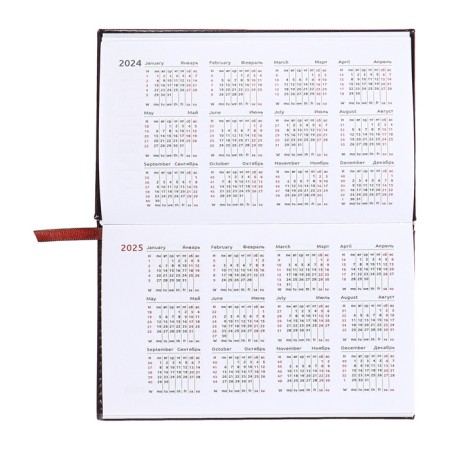 PROVING PARMAN DALL 2025, 155 x 95mm 64 sheets, Devente.Matrix, solid cover to leatherette with foam, embossing, block 70, burgundy-8