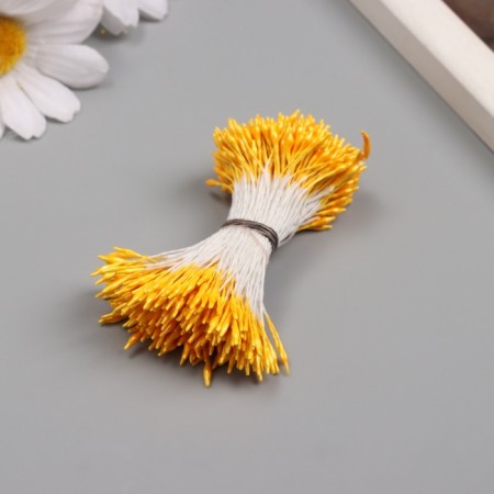 Stamens for artificial flowers gloss "risinki" light orange set 360 pcs length 6 cm 10705-1