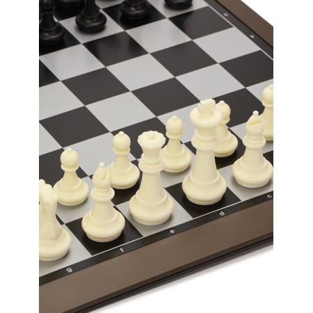 Magnetic chess 39 x 39 cm, King H-8 cm, Pig H-4.3 cm-4