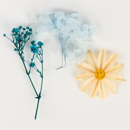 Set of dried flowers "Summer on the coast"-1
