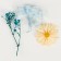 Set of dried flowers "Summer on the coast"