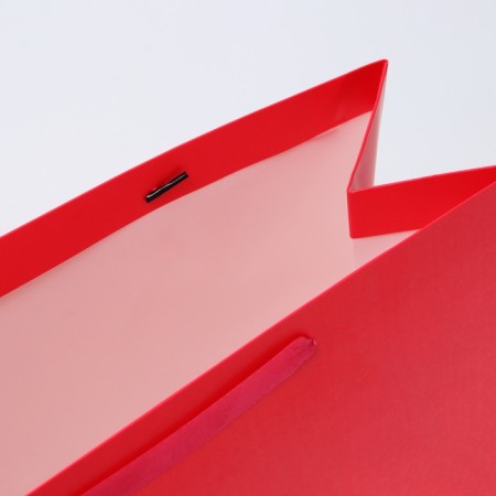 Laminated horizontal "Fuchsia", XL 49 × 40 × 19 cm-3