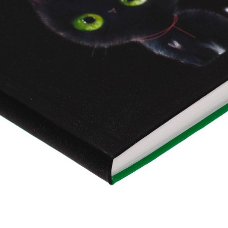 Note book A5, 128 sheets in the CTI CITS, Integral cover, matte lamination, lamination "SOFT-Tach", stamping with foil "Holography", block 70 g/m2-3