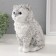The piggy bank "Vasily Kitten" 19 x 11 x 14 cm.