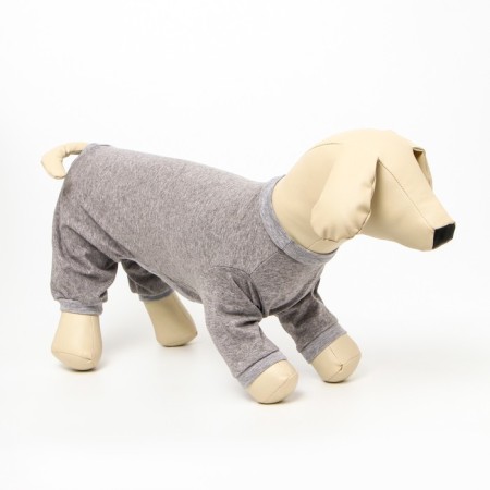 Combineson for animals light gray, XS (DS 27, Osh 23-27, OG 41-45)-1