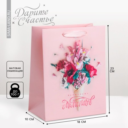 Package Gift Laminated Vertical, packaging, “Magic Moments”, MS 18 x 23 x 10 cm