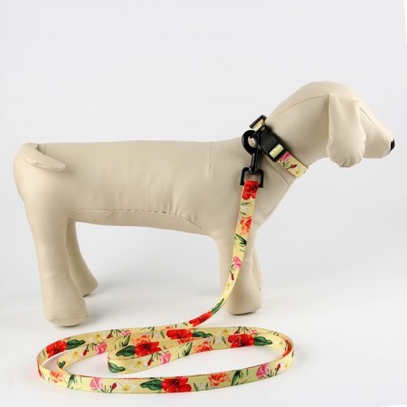 Set "Flowers", fastener - fastx, leash 2 m and collar 28-46 cm-7