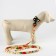 Set "Flowers", fastener - fastx, leash 2 m and collar 28-46 cm