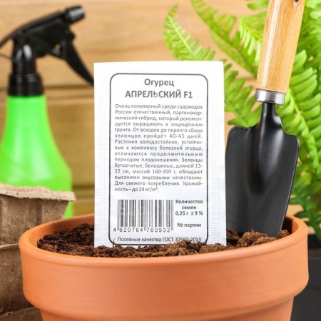 Seeds of cucumber "April" F1, parthenocarpic, b/p, 0.25 g