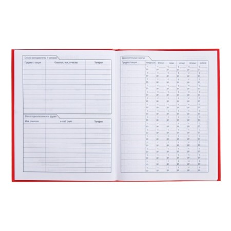 Universal diary for grades 1-11 gold on red, hard cover, matte lamination, 3D foil, 40 sheets-5
