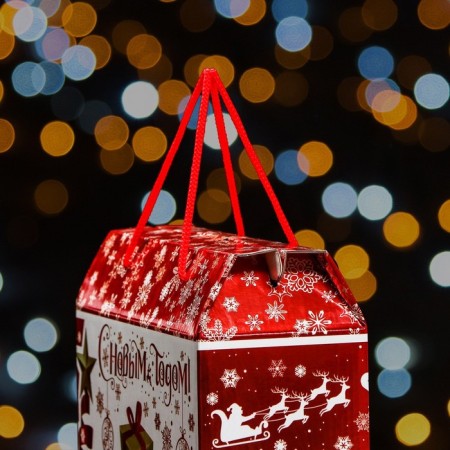 Gift Folding Box "Aurora" 23 x 10 x 22 cm-4
