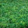 Garland "thread" 10 m Rosa, IP44, silver thread, 100 LED, warm white glow, 2 modes, solar battery