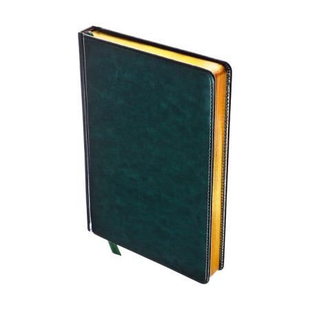 Dated diary of 2025, A5, 168 sheets in the ruler, leatherette "Nebraska", gold cut, green-2