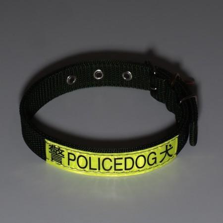 Two -layer collar with a swivel, 3 cm, green-7
