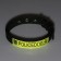 Two -layer collar with a swivel, 3 cm, green