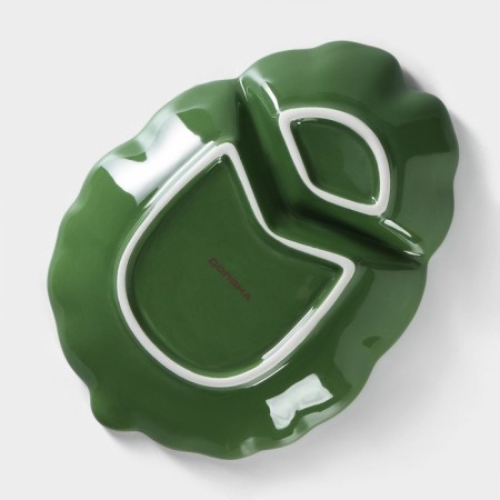 Menzhitsa 2 cells of the leaf, 24.7 × 18 × 3.8 cm, green color-3