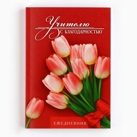 Diary "Teacher with gratitude", A5 format, 160 sheets, soft cover-1