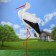 Garden figure "Stork with breast" 23x60x115cm