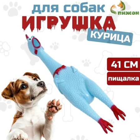The squeak of "thoughtful chicken XL" for dogs, 41 cm, blue