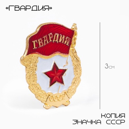 The USSR icon "Guard" 3 x 2 cm, silver