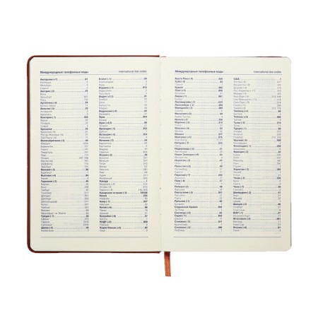 Leduced Diary A5, 140l, Cage, leatherette, elastic band, black cut, brown-7