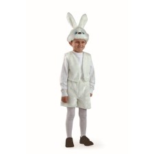 The carnival costume 