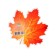 Decoration on adhesive tape "Maple leaf" Orange, 18x18 cm