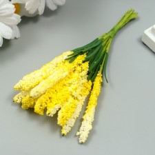 Decor for creativity 