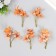 Flowers for decorating "Lilenik" peach 8.5 cm