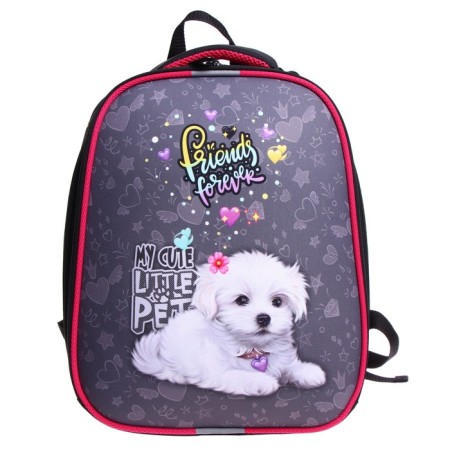 School backpack 38 x 30 x 16 cm, ergonomic back, Stavia "White Dog"-2