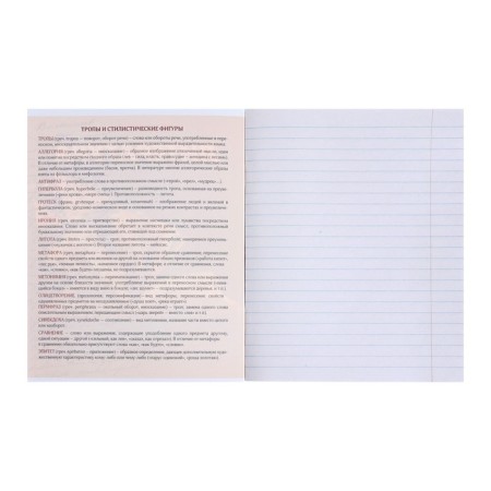 Substantial notebook Calligrata "3D", 48 sheets in the literature line, with reference material, covered cardboard, block No. 2, whiteness 75% (gray sheets)-1