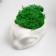Kashpo concrete "alien" height 5 cm, diameter 6 cm white with moss (moss green. Stabilizir)